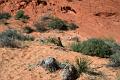 14-Valley of Fire 0024